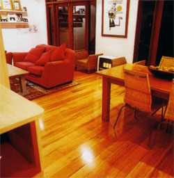 Amaze floor sanding & polishing - Photo Gallery